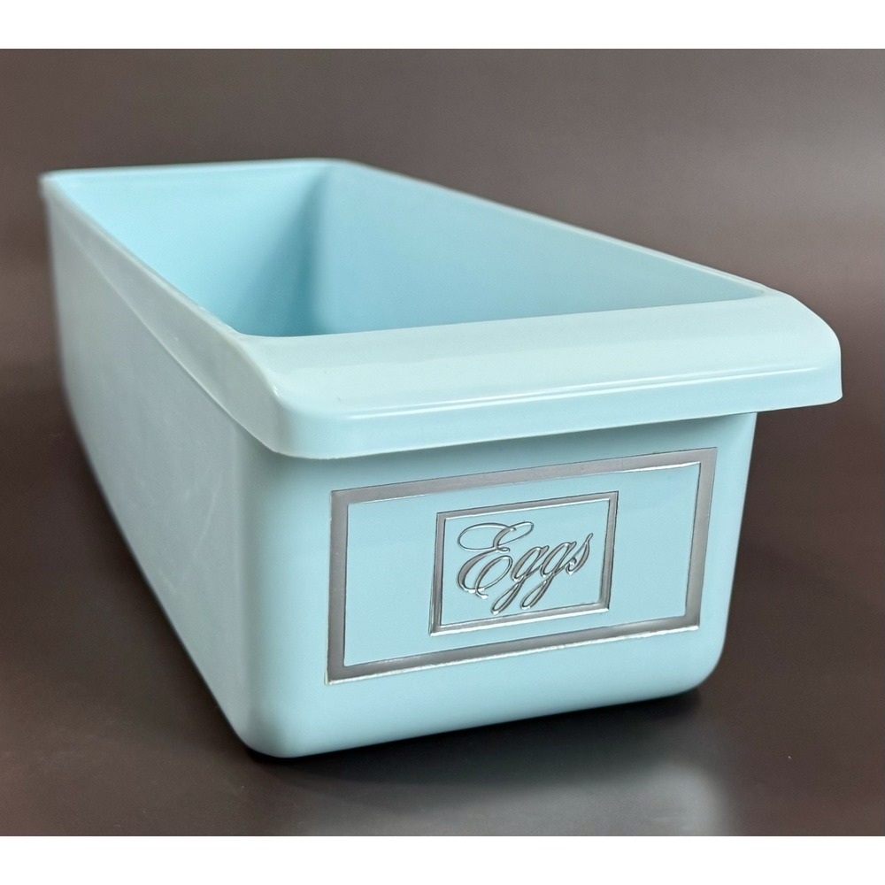Vintage Refrigerator Egg Bin Drawer Aqua Blue Silver Eggs MCM Atomic 14" 1950s